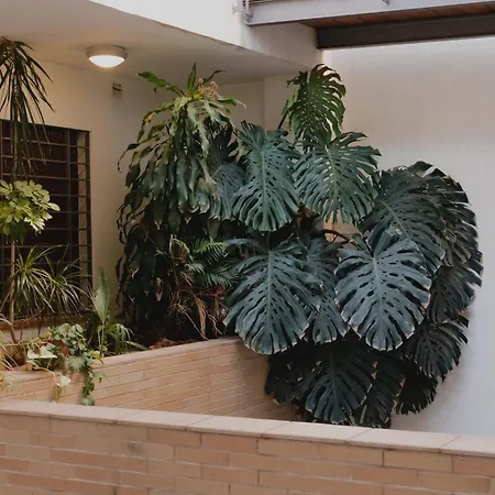 Zamorano Apartment *